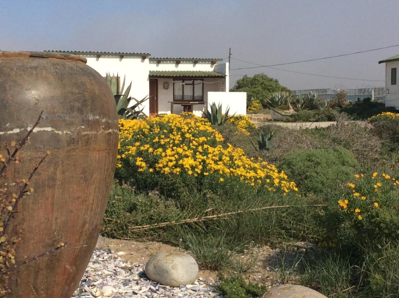 Honnehokke Resort Hondeklipbaai Luaran gambar