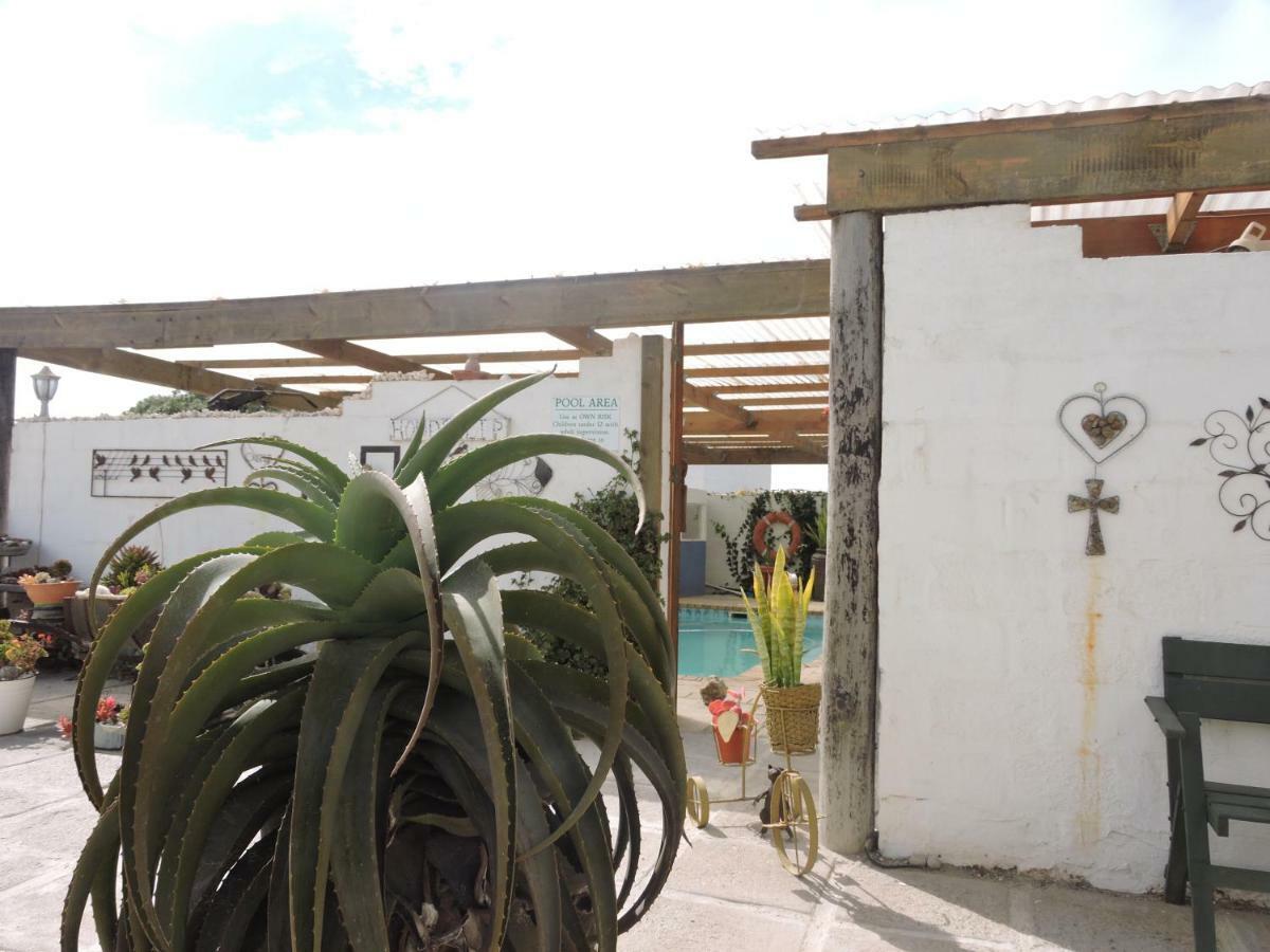 Honnehokke Resort Hondeklipbaai Luaran gambar